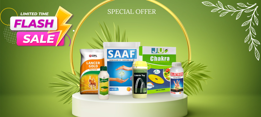 special offer (2)